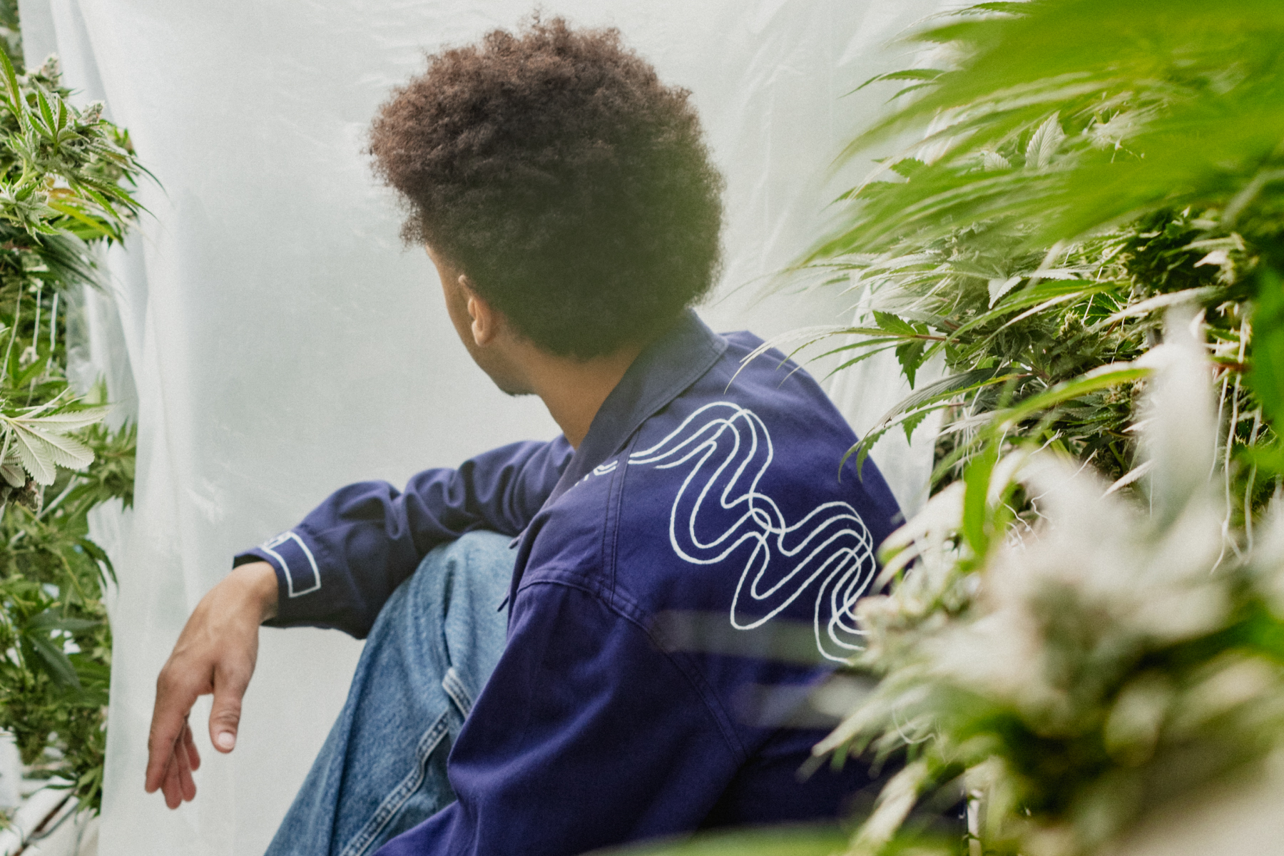 Blue Dream x Mia Ohki