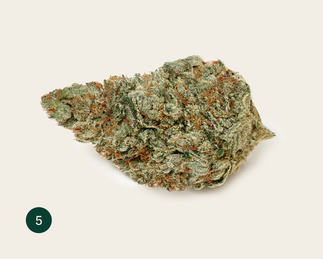 Jet Feul Gelato Flower
